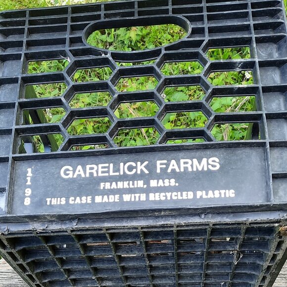 Garelick Farms, Franklin MA Black Plastic Milk Crate Vintage Dairy - Picture 2 of 5